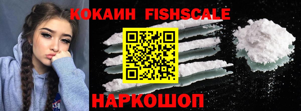 Cocaine Fish Scale  Вход с VPN  Ижевск  COCAIN Эквадор 