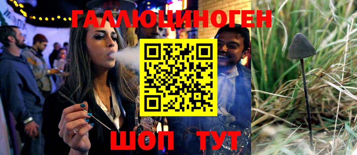 Псилоцибиновые грибы MAGIC MUSHROOMS Ижевск